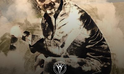 Walter Hansen Becomes The New Voice of Country Rock Music With The Hypnotic Riffs in The Song "Good Lookin"