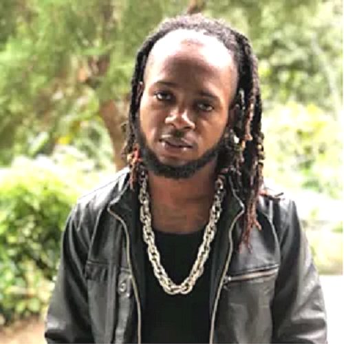 Jamaican Vocalist Explains Darwin's Theory In A Song