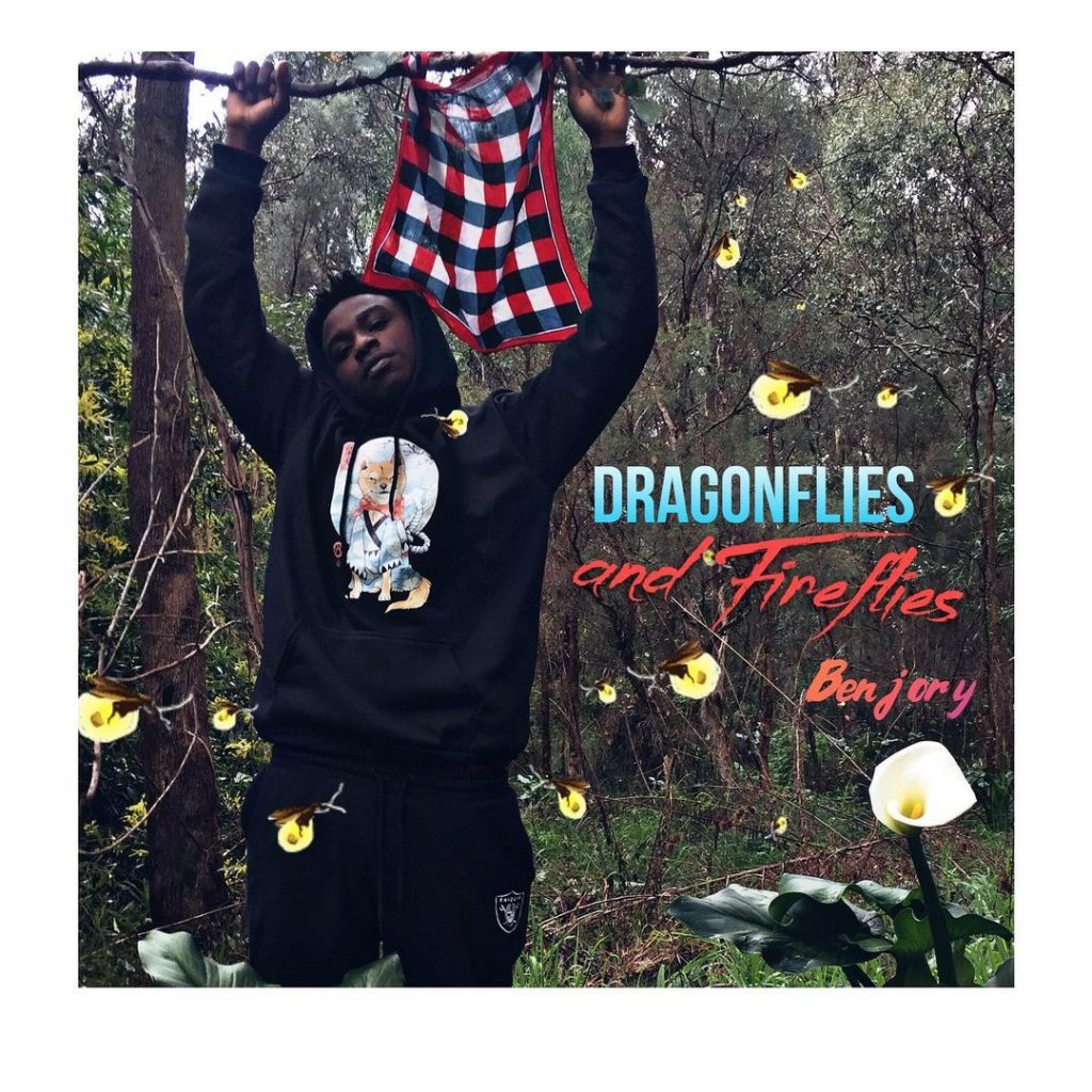 Benjory Dragonflies and Fireflies