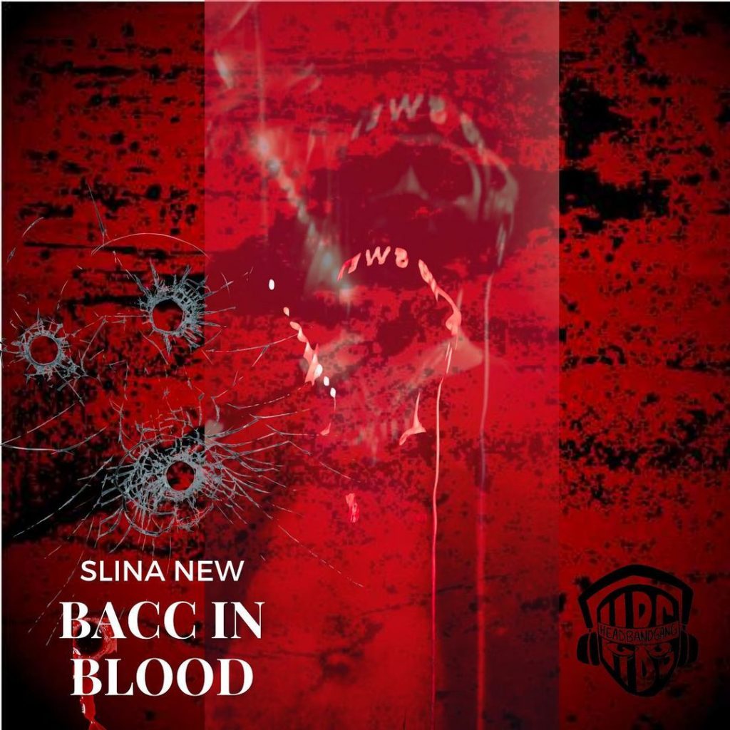 Slina NEW Bacc In Blood (SlinaMix) 