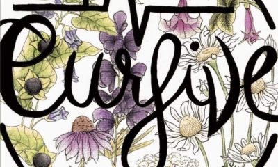 In Cursive Lebronny Javo