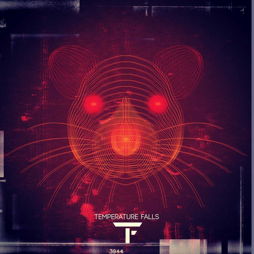Temperature Falls Lab Rat