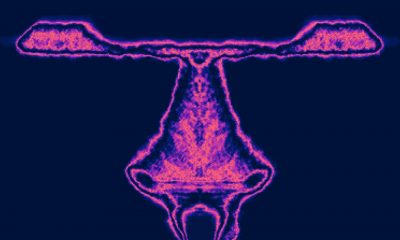 Electrancy Secret Visual Art Technology