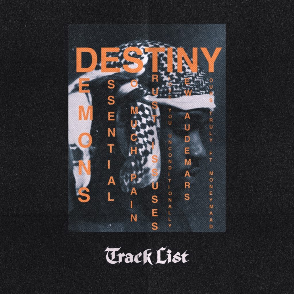 Mitt Picasso Destiny