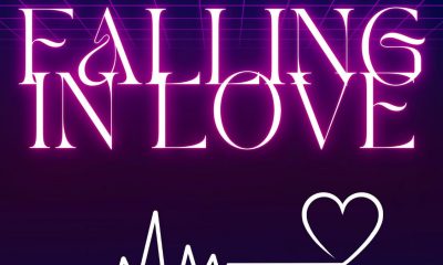 Drolphin Falling in Love