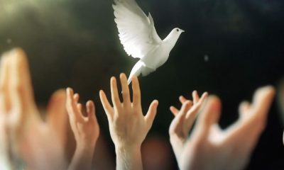 Multitalented Singer, Drummer, and Songwriter Clay Joule Welcomes a Listener to the “Realm” of His Kingdom!