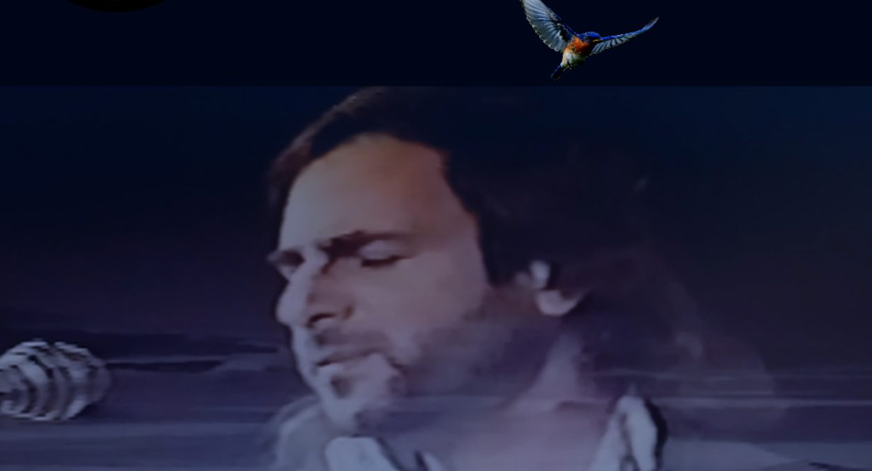 The Multifaceted Artistic Collective PDS Should Be Your Ideal Choice for Daily Listening Pleasure!