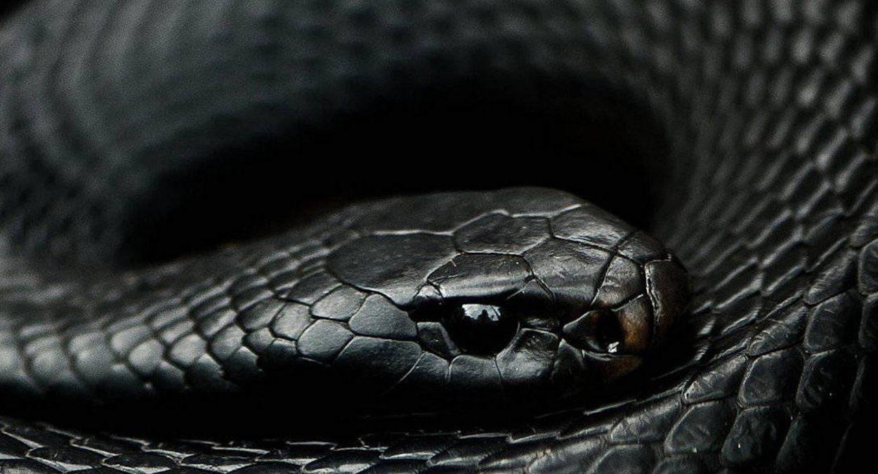 Natstar Is Set to Re-Release the Acclaimed 24-Track Album “Mamba” Under Stowic Entertainment and Empire Distribution on May 23, 2025.